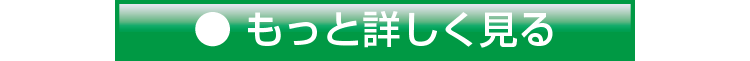 もっと詳しくみる